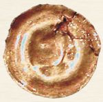 Brakteat z XIV w. znaleziony w Grodżcu (14mm)